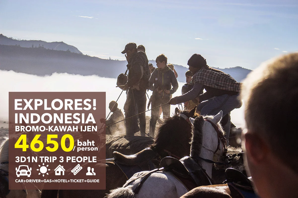 indo3
