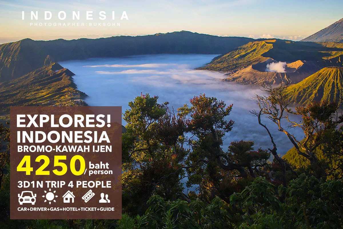 indo4